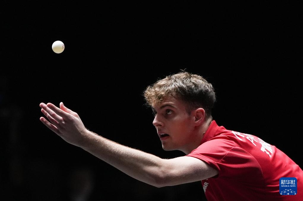 待的种子 待的种子